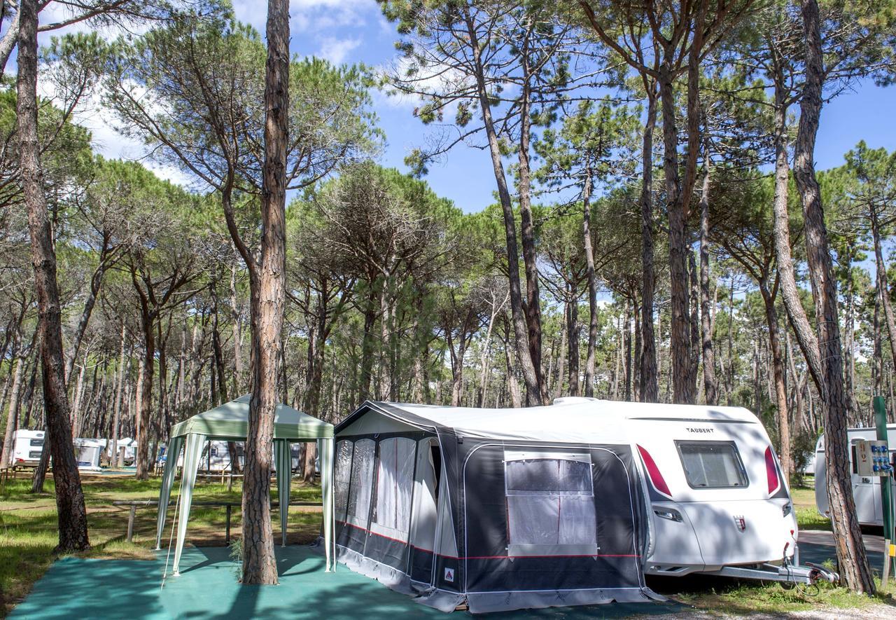 Campeggio Baia Verde Castiglione della Pescaia Buitenkant foto