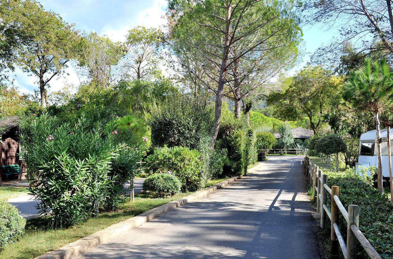 Campeggio Baia Verde Castiglione della Pescaia Buitenkant foto