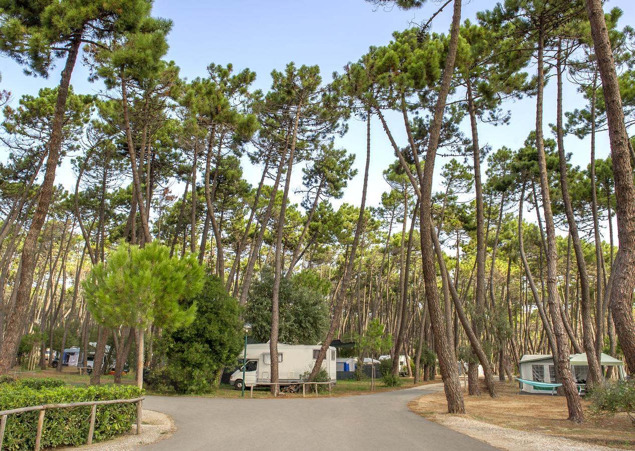 Campeggio Baia Verde Castiglione della Pescaia Buitenkant foto