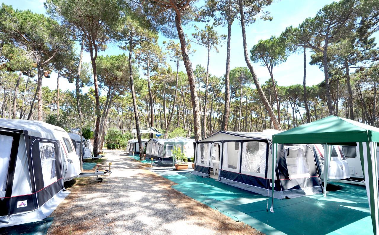 Campeggio Baia Verde Castiglione della Pescaia Buitenkant foto