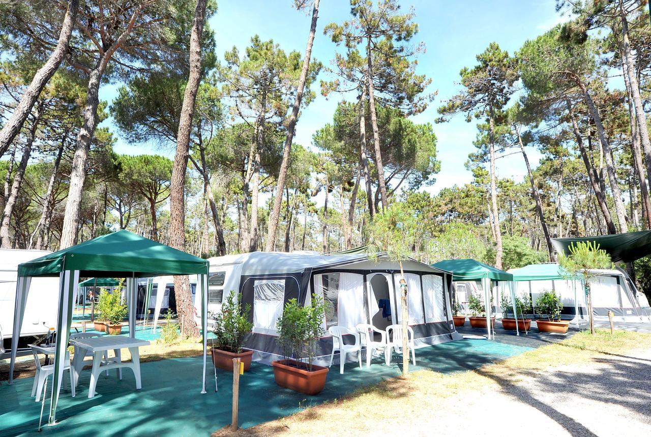 Campeggio Baia Verde Castiglione della Pescaia Buitenkant foto